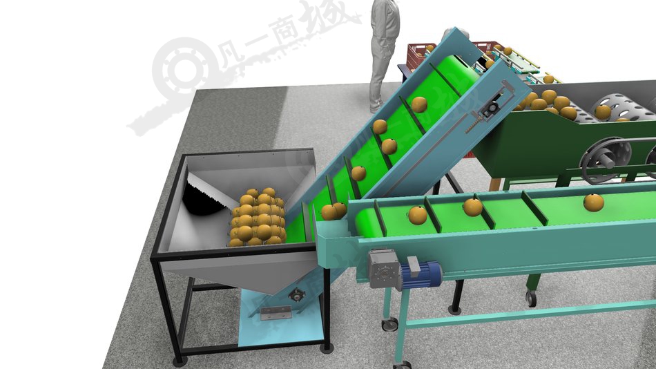 橙子自動(dòng)分級(jí)分揀稱重設(shè)備3D圖 模型截圖[2]