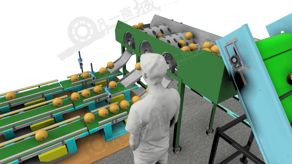 橙子自動(dòng)分級(jí)分揀稱重設(shè)備3D圖 模型截圖[3]
