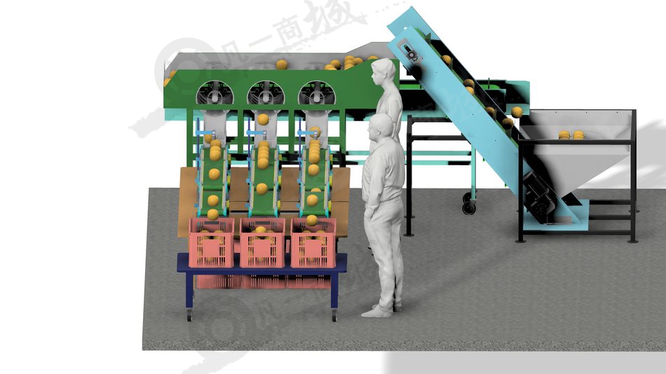 橙子自動(dòng)分級(jí)分揀稱重設(shè)備3D圖 模型截圖[4]