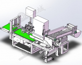 筷子包裝機(jī)-竹筷封裝設(shè)備SW模型圖