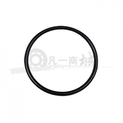 大口徑 O型密封圈 氟膠、丁腈橡膠 現(xiàn)貨|價格|參數(shù)|樣本|圖片