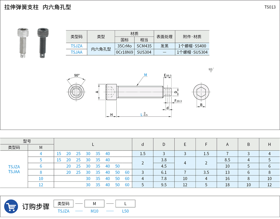 TS013.png