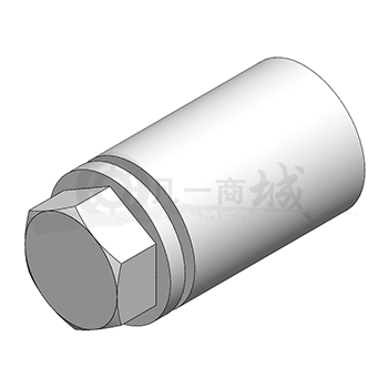 GB/T 16749-1997絲堵